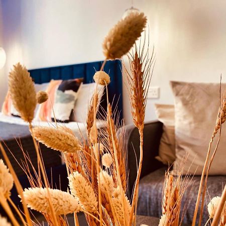 Phaedrus Living: Seaside Luxury Flat Athina 118 Daire Pafos Dış mekan fotoğraf
